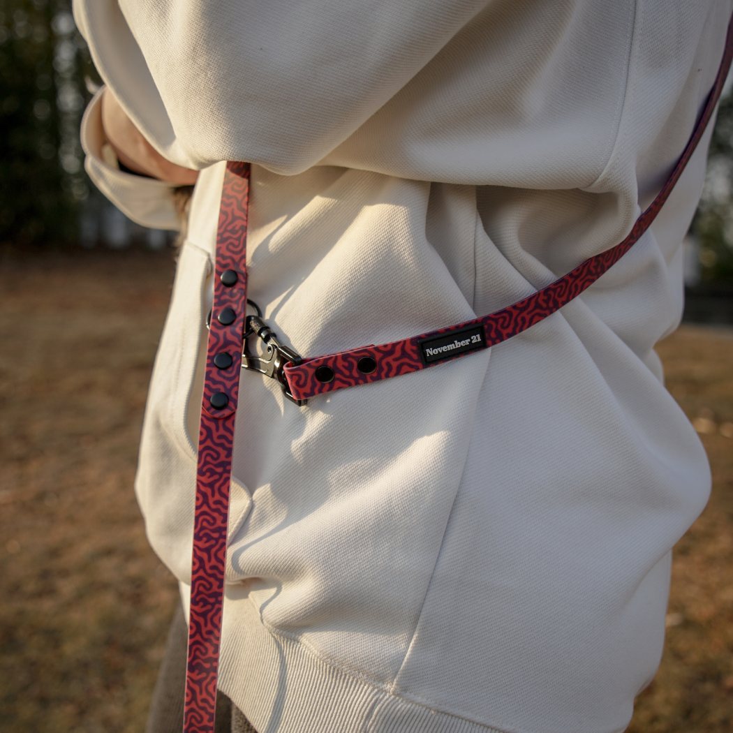 Hands-Free Dog Leash (Crossbody)