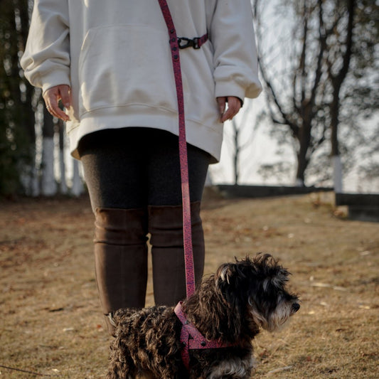 Hands-Free Dog Leash (Crossbody)