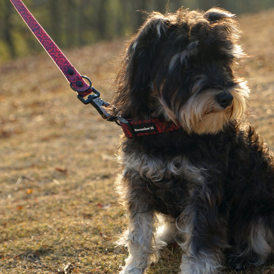 Soft Dog Collar