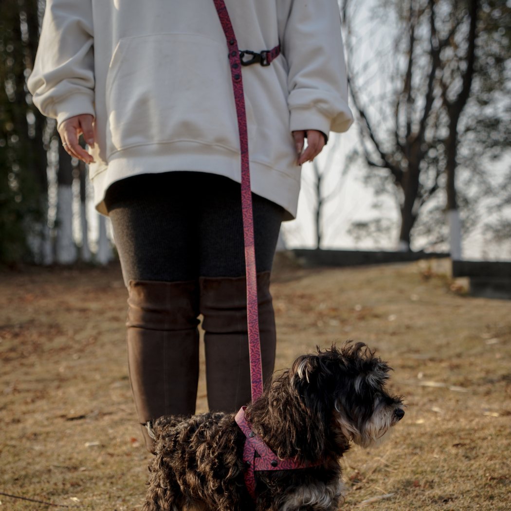 Hands-Free Dog Leash (Crossbody)