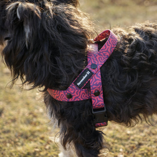 Anti-Matting Dog Harness