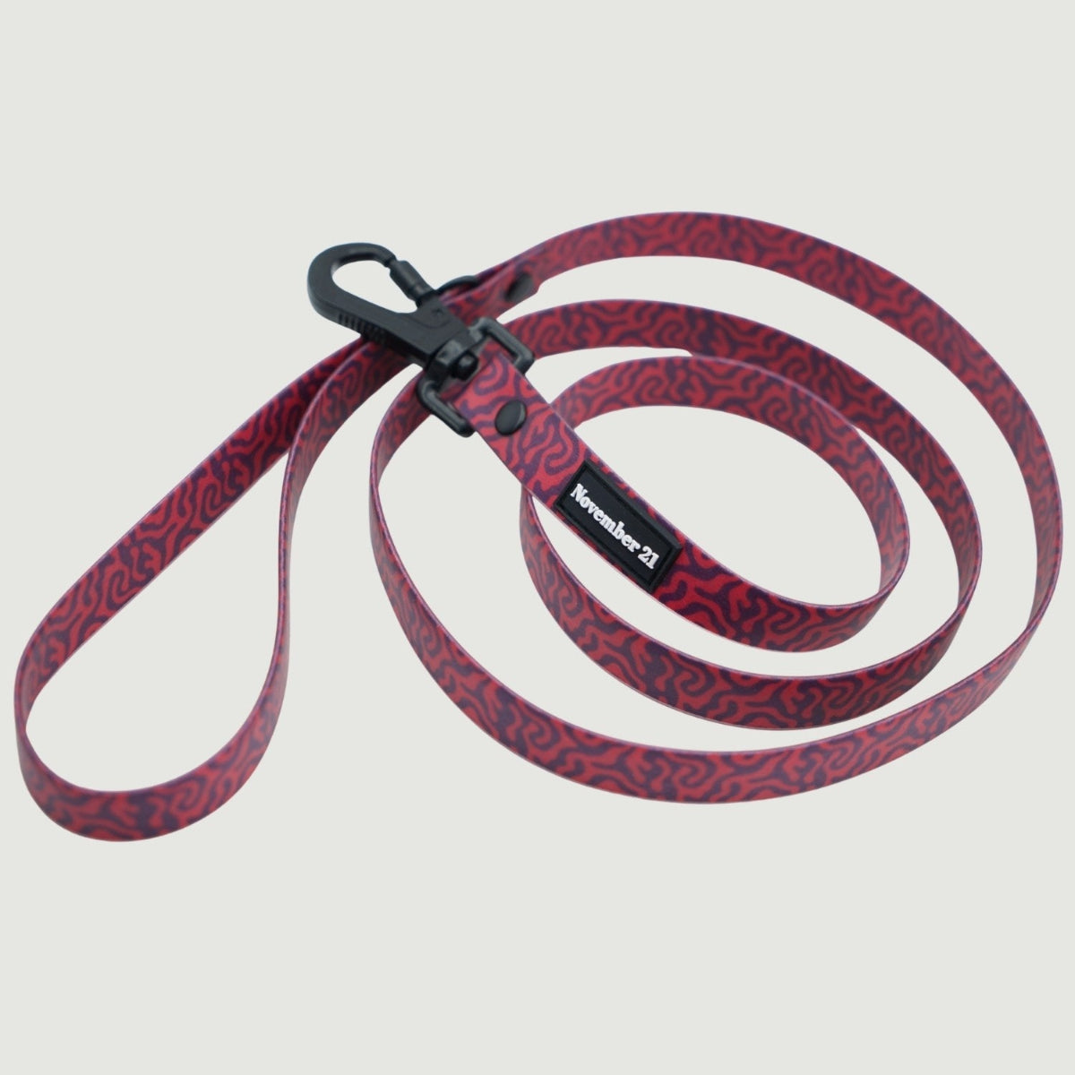 Everyday Dog Leash