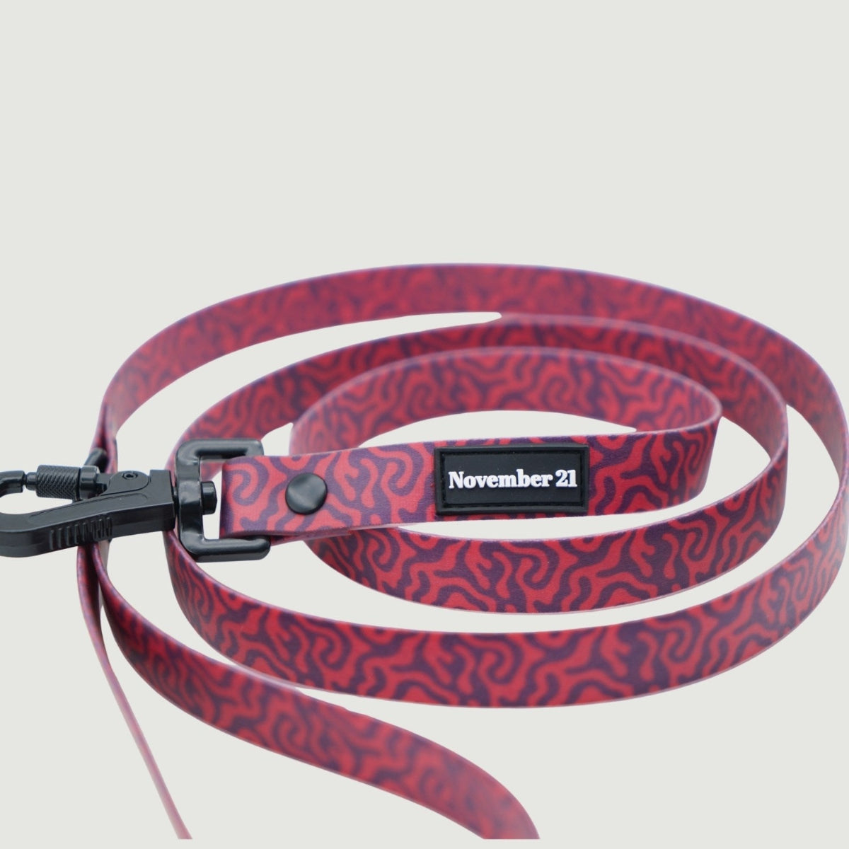 Everyday Dog Leash