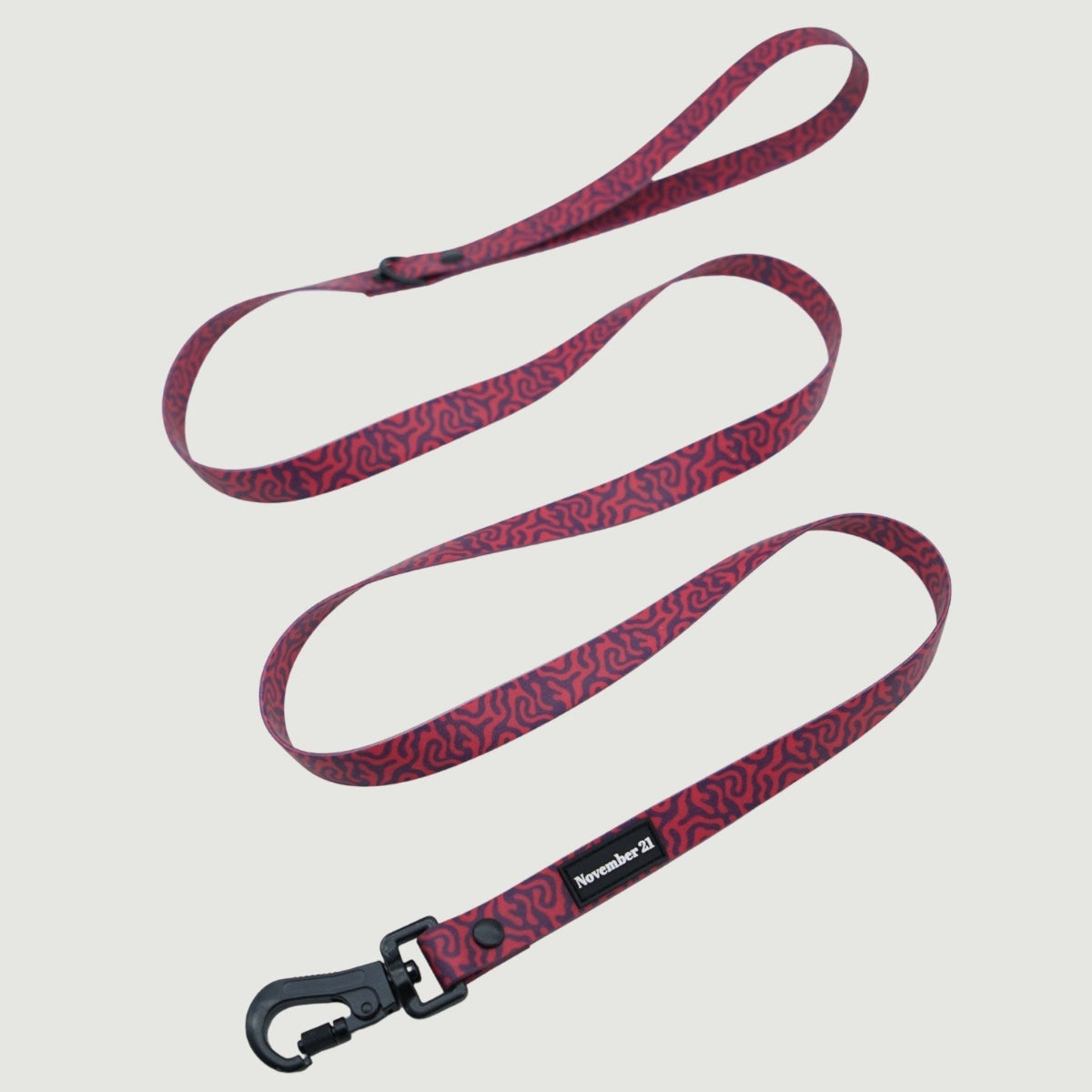 Everyday Dog Leash